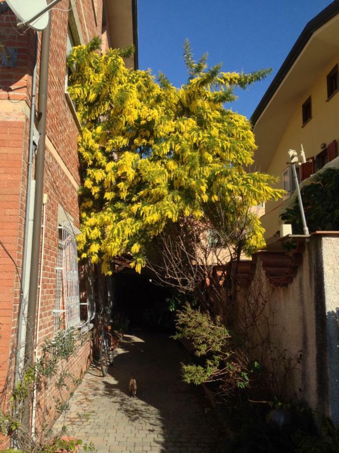 비아레지오 Casa Mimosa 아파트 외부 사진